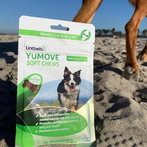 Image post by @yumove_usa on Instagram