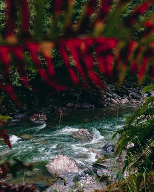 Image post by @amy.kennedy.photos on Instagram