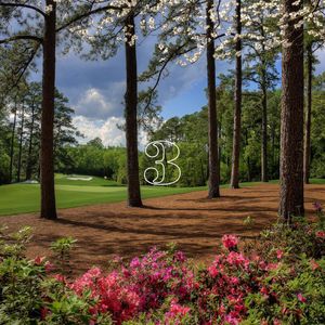 Image post by @themasters on Instagram
