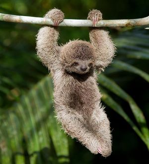 Image post by @discovery on Instagram