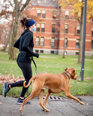 Image post by @harvard on Instagram