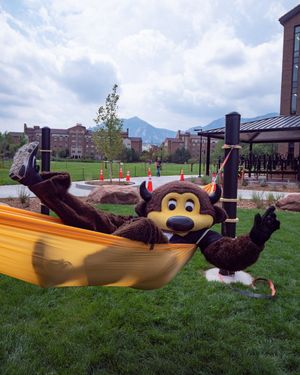 Image post by @cuboulder on Instagram