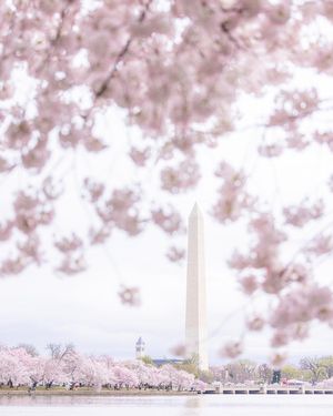 Image post by @nationalparkscollective on Instagram