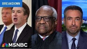 Video post by @msnbc on YouTube