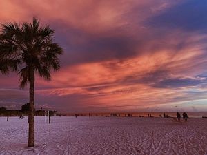 Image post by @visitsarasotacounty on Instagram