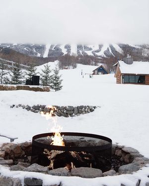Image post by @themainemag on Instagram