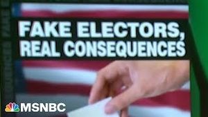 Video post by @msnbc on YouTube