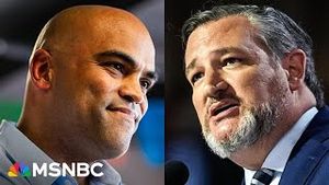 Video post by @msnbc on YouTube