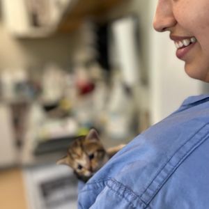 Image post by @whitmanpets on Instagram