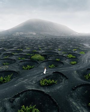Image post by @fubiz on Instagram