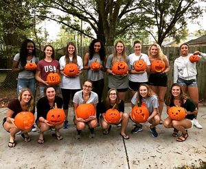 Image post by @memphisvball on Instagram
