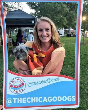 Image post by @thechicagodogs on Instagram