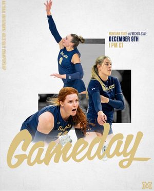 Image post by @msubobcatsvb on Instagram