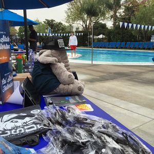 Image post by @asicsuf on Instagram
