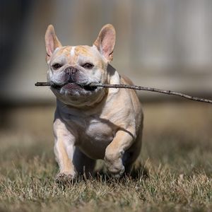 Image post by @david_smith_photography on Instagram