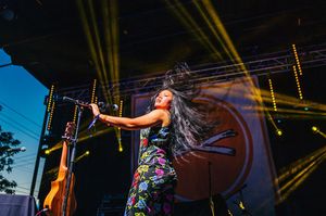 Image post by @treefortfest on Instagram