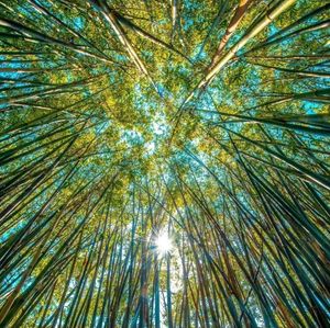 Image post by @olukai on Instagram