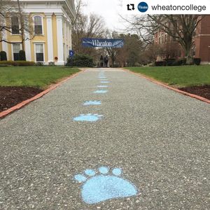 Image post by @wheatonlyons on Instagram