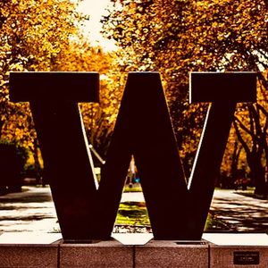 Image post by @uwgymnastics on Instagram