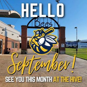 Image post by @burlington_bees on Instagram