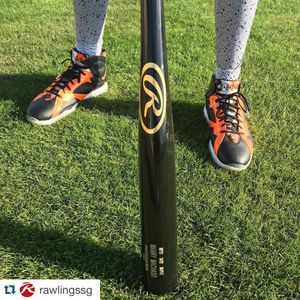 Image post by @rawlingstigers on Instagram