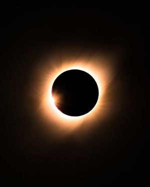 Image post by @sonyalpha on Instagram