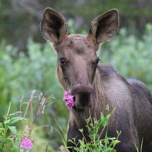 Image post by @nationalparkservice on Instagram