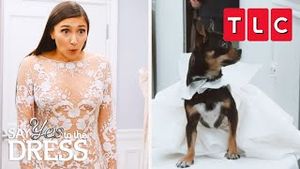 Video post by @tlc on YouTube