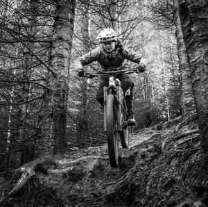 Image post by @bikerumor on Instagram