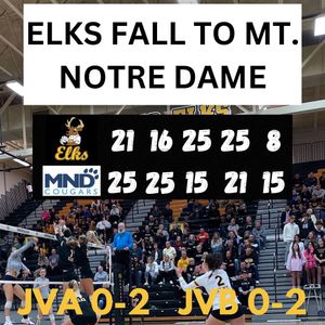 Image post by @ladyelksvb on Instagram
