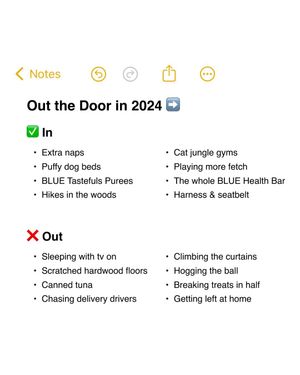 Image post by @bluebuffalo on Instagram