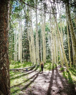 Image post by @nauflagstaff on Instagram