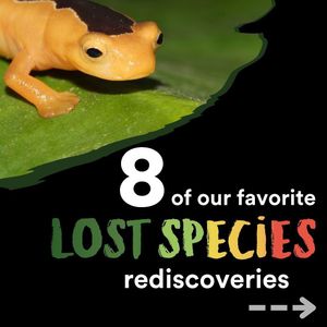Image post by @rewild on Instagram