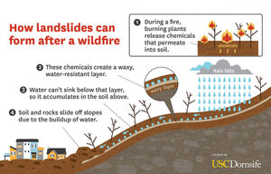 Image post by @uscdornsife on Instagram