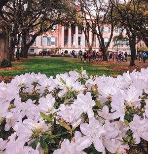 Image post by @collegeofcharleston on Instagram