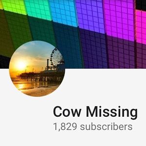 Image post by @cowmissing on Instagram