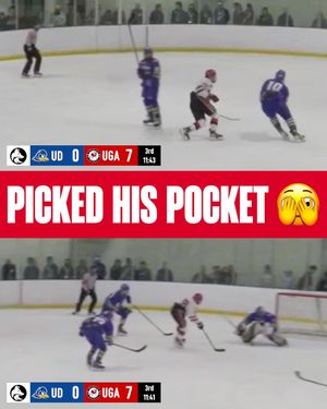Image post by @hockeyhousepod on Instagram
