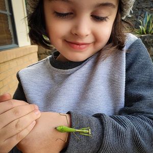 Image post by @kidsgardening on Instagram
