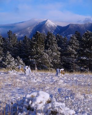 Image post by @nauflagstaff on Instagram