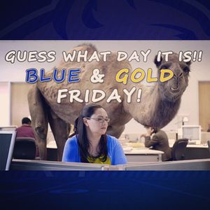 Image post by @montanastatebobcats on Instagram