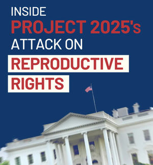 Image post by @mmfa on Twitter/X
