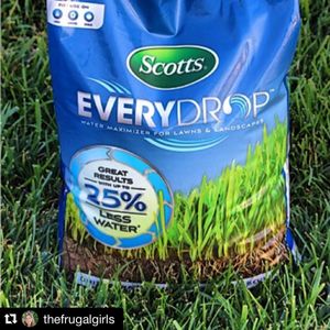 Image post by @scottslawn on Instagram