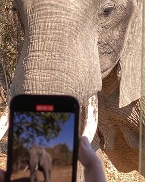 Image post by @chiawasafaris on Instagram