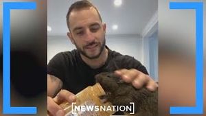 Video post by @newsnation on YouTube
