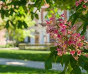 Image post by @uofnh on Instagram
