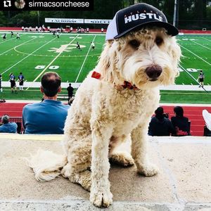 Image post by @atlantahustle on Instagram