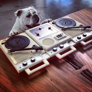 Image post by @robdyrdek on Instagram