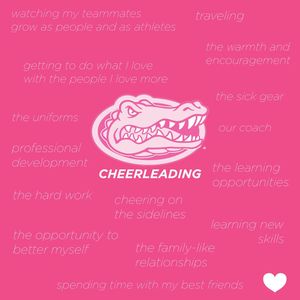 Image post by @gatorscheer on Instagram