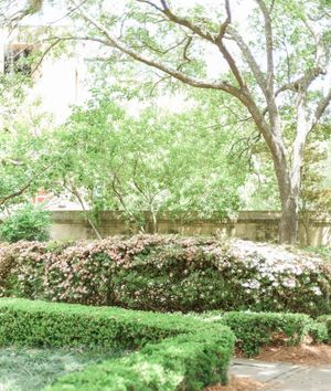 Image post by @collegeofcharleston on Instagram