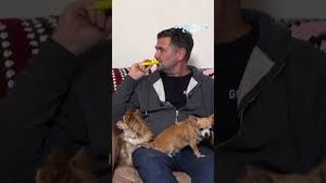 Video post by @s4c on YouTube